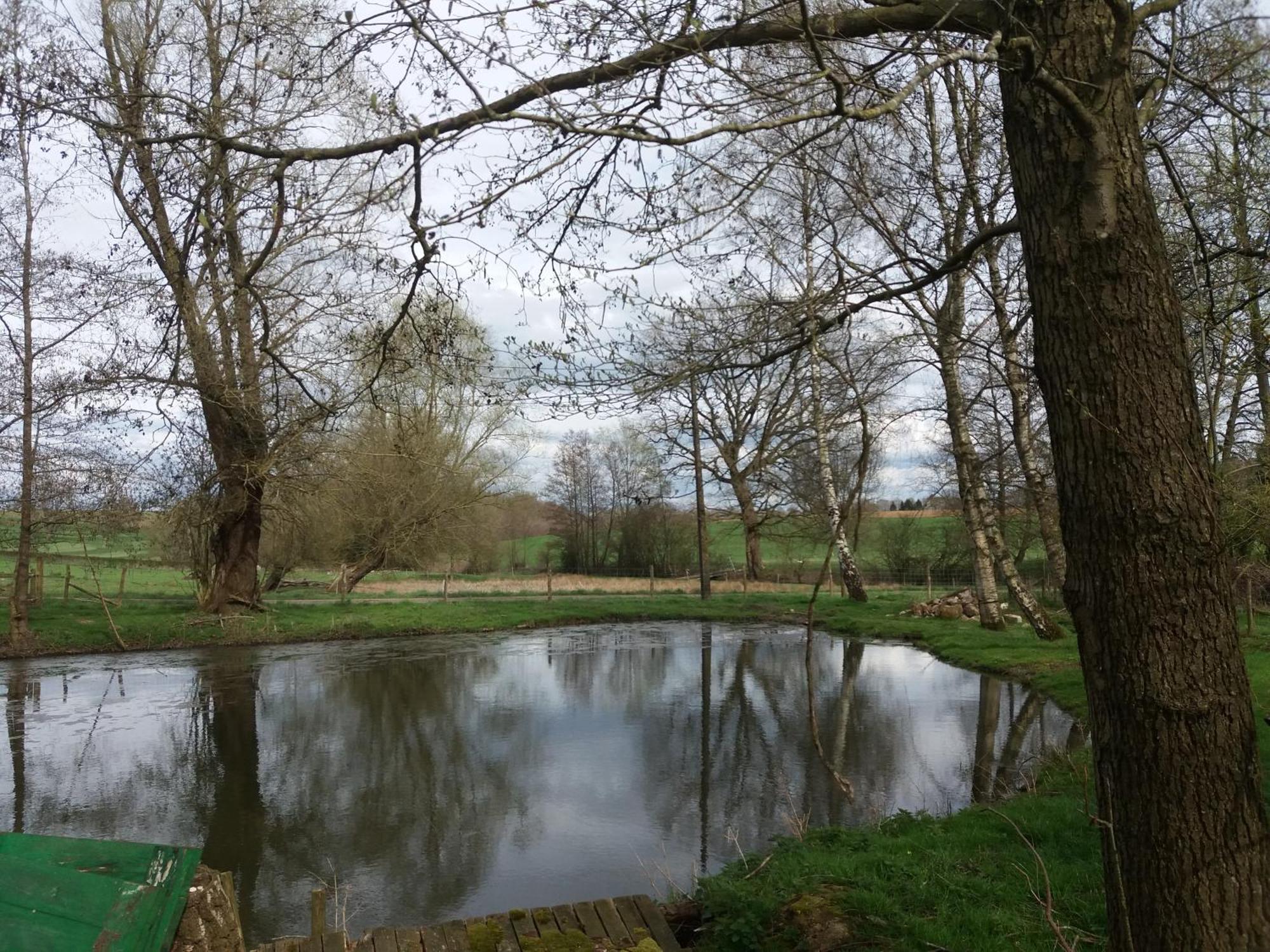 BarsyLe Sentier Des Etangs公寓 外观 照片